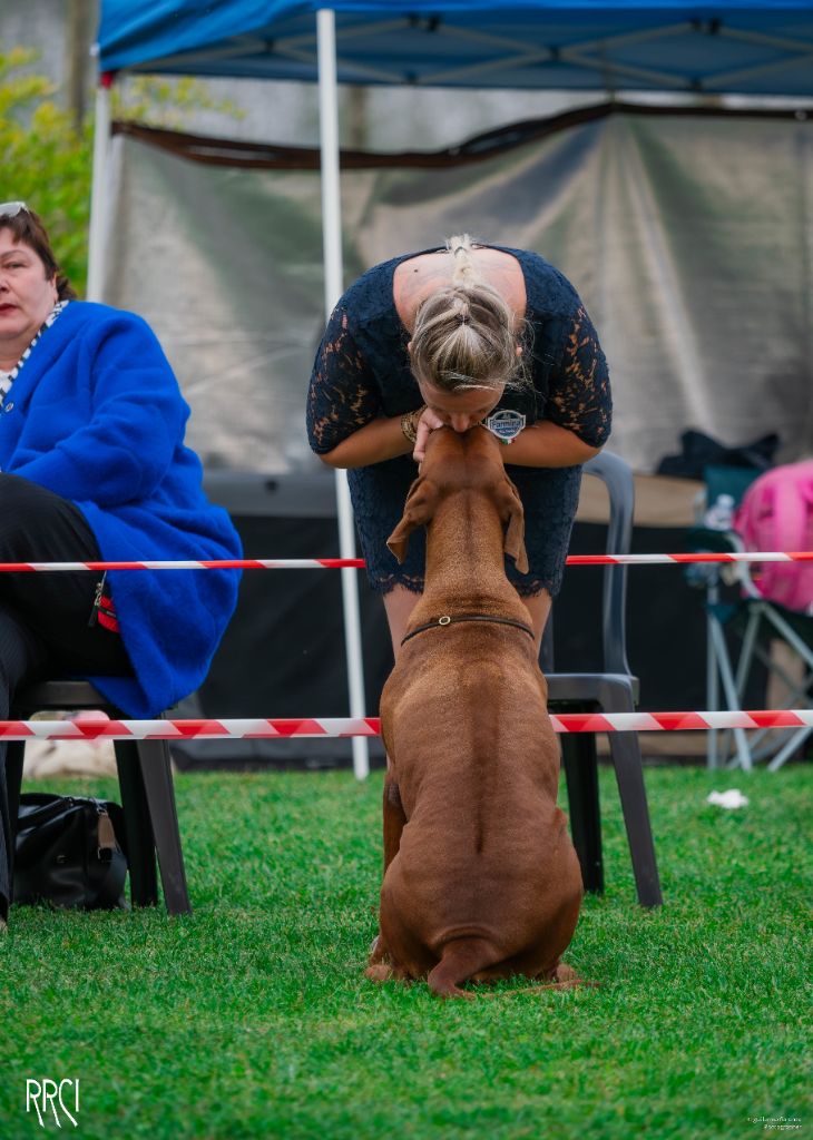Elfie et ses petits frappent encore !