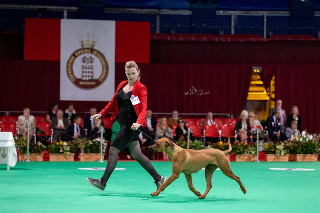 Of Lil' Toffee - Yuma jeune Championne de Monaco 